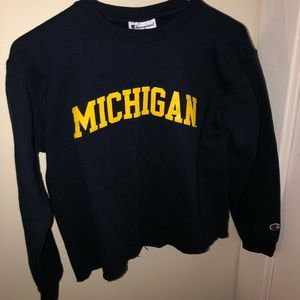 University of Michigan College Sweatshirt
